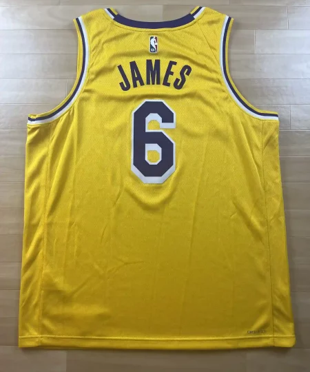 Maillot NBA LeBron James Los Angeles Lakers 2021-2022 dos nom et numéro
