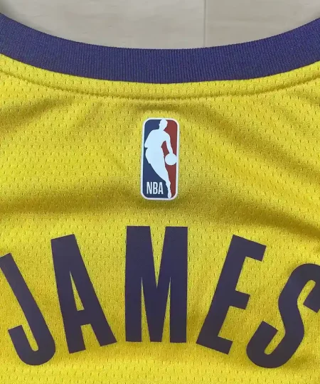 LogoNBA arrière Maillot NBA LeBron James Los Angeles Lakers 2021-2022