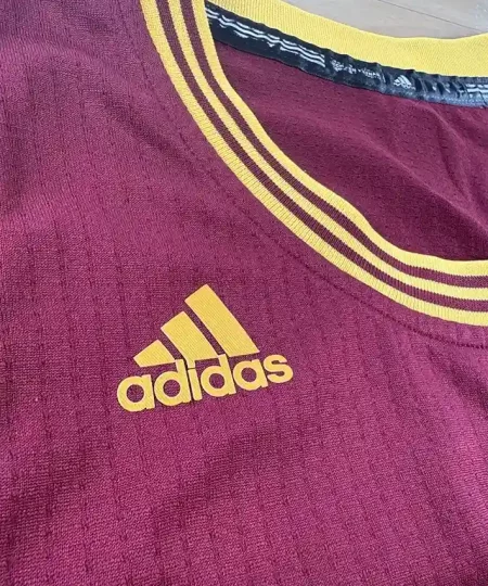 Détails marque sur maillot Maillot NBA LeBron James Cleveland Cavaliers 2014-2017