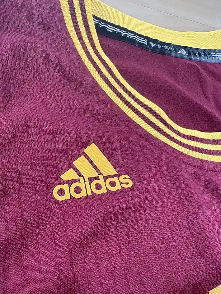 Détails marque sur maillot Maillot NBA LeBron James Cleveland Cavaliers 2014-2017