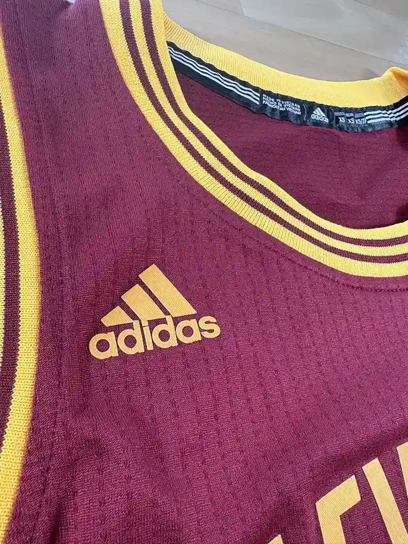 Logos brodés et détails marque Maillot NBA LeBron James Cleveland Cavaliers 2014-2017