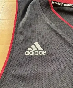 Logos Adidas Maillot NBA LeBron James Cleveland Cavaliers 2007-2010