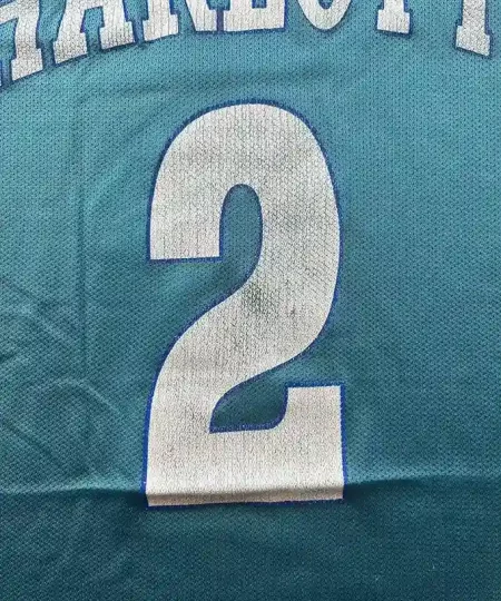 Zoom avant Maillot NBA Larry Johnson Charlotte Hornets 1991-1995