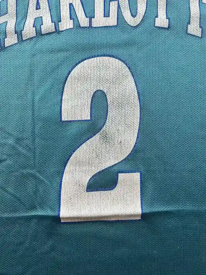 Zoom avant Maillot NBA Larry Johnson Charlotte Hornets 1991-1995