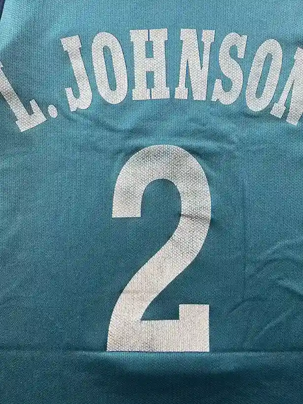 Détail état et défaut occasion Maillot NBA Larry Johnson Charlotte Hornets 1991-1995