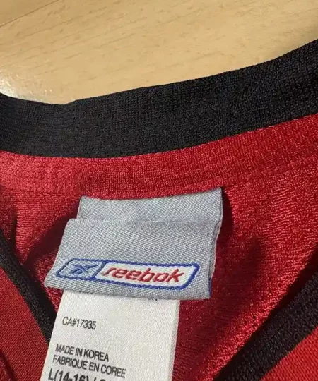 Étiquette col Maillot NBA Vince Carter Toronto Raptors 2004-2005