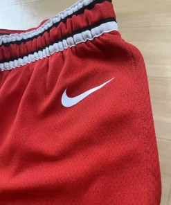 Logo Nike Short NBA Chicago Bulls 2017-2025