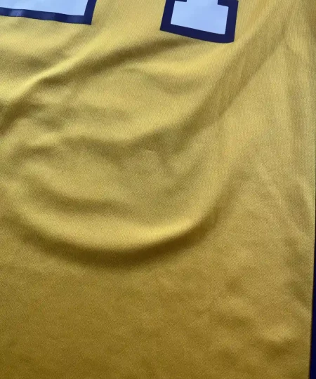 Petit accroc Maillot NBA Kobe Bryant Los Angeles Lakers 2010-2016